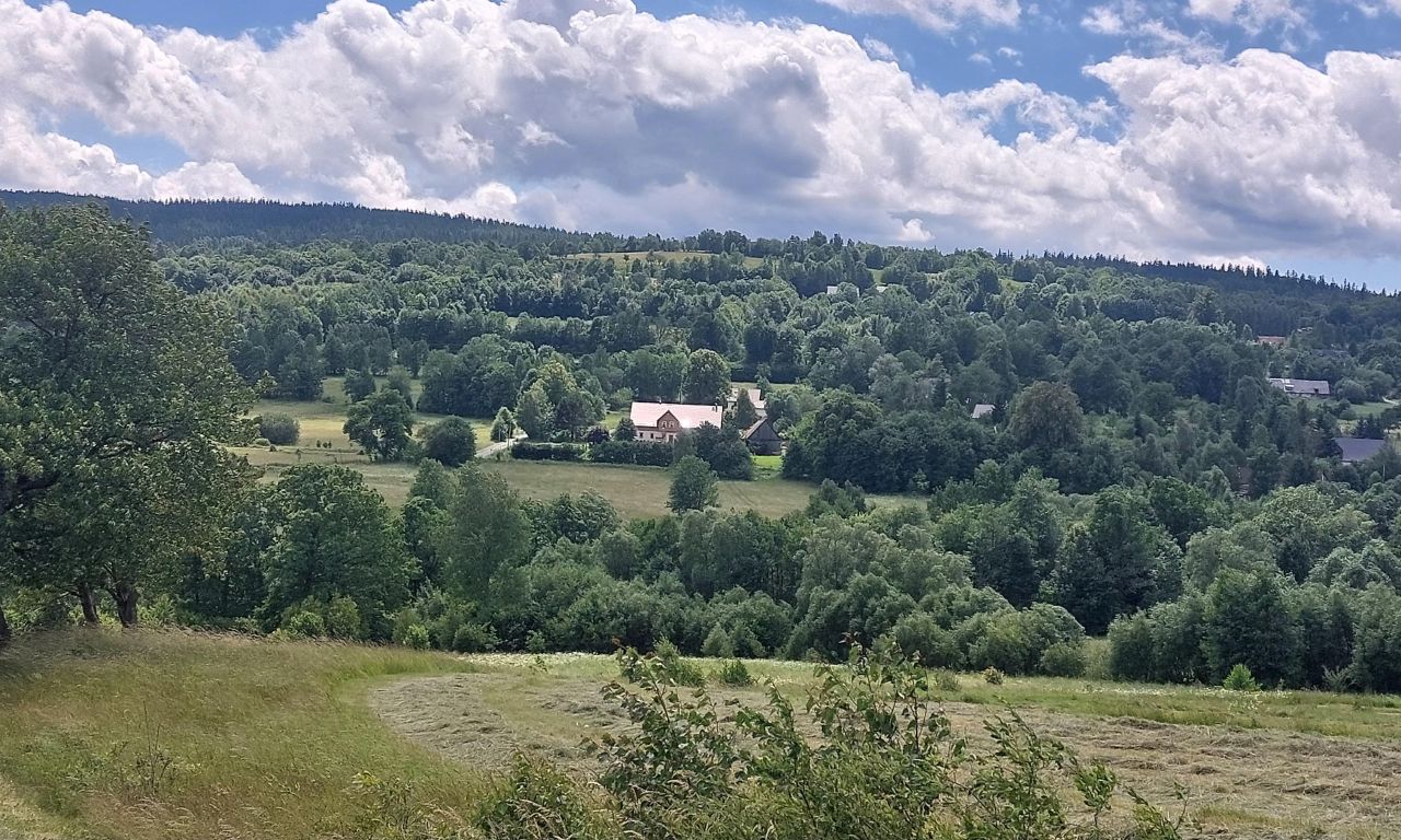 dom wolnostojący, 10 pokoi Chromiec. Zdjęcie 2