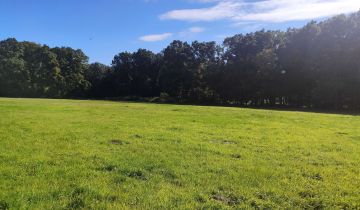 Działka budowlana Godzięcin