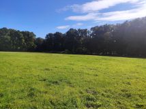 Działka budowlana Godzięcin