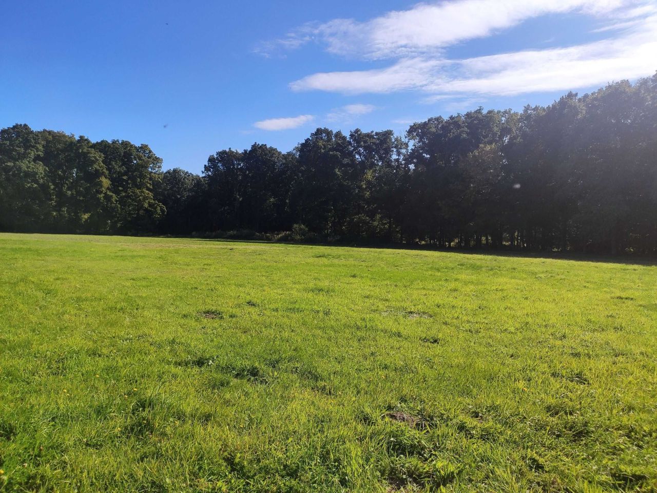 Działka budowlana Godzięcin