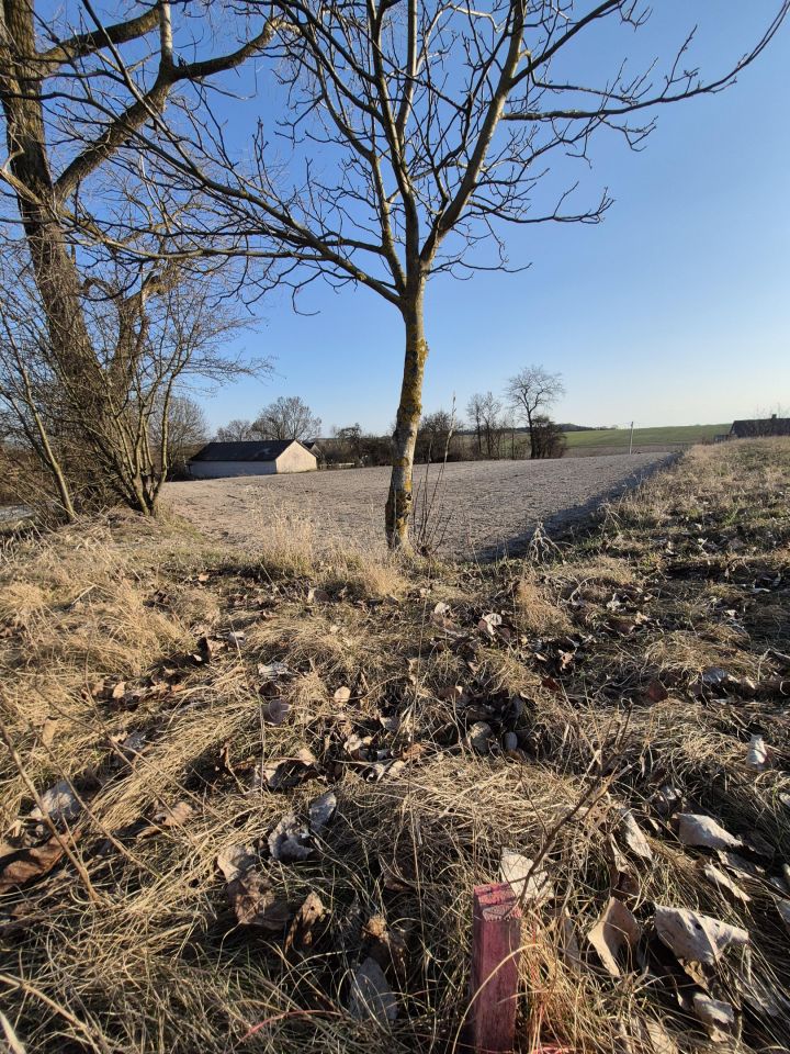 Działka budowlana Zaryszyn. Zdjęcie 6