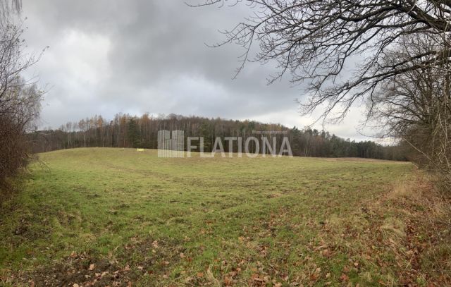 Działka rolna Paraszyno. Zdjęcie 1