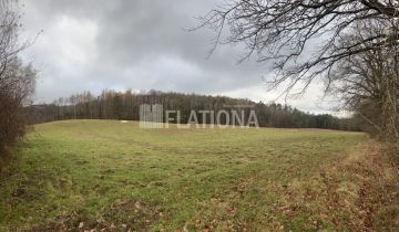 Działka rolna Paraszyno