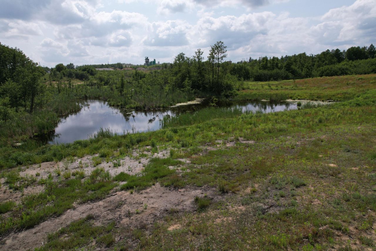 Działka rolno-budowlana Chojno. Zdjęcie 4