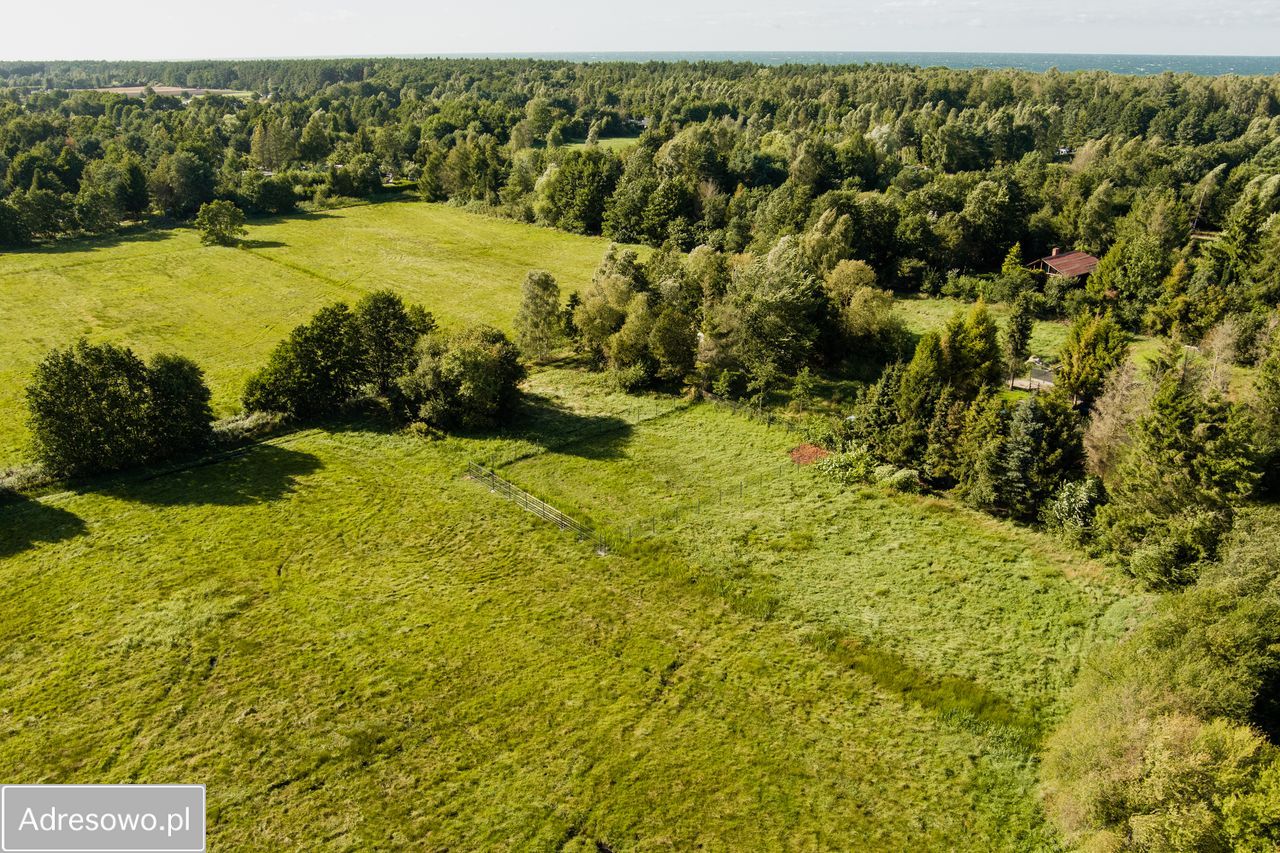 Działka rolna Karwieńskie Błoto Drugie. Zdjęcie 12