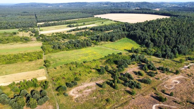 Działka rekreacyjna Złoty Potok. Zdjęcie 3