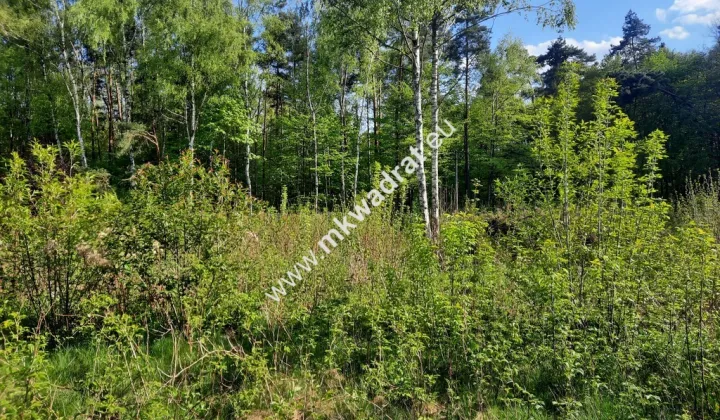 Działka budowlana Strzeniówka