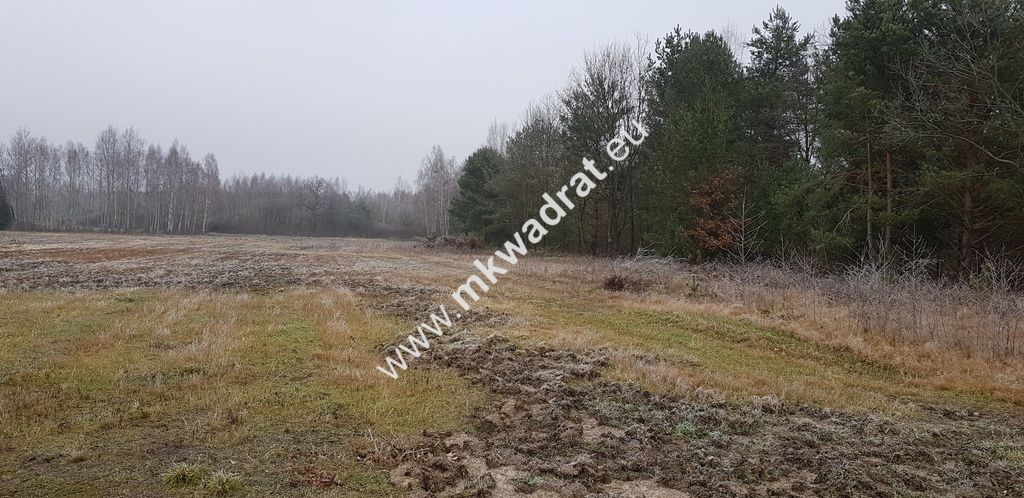 Działka budowlana Owczarnia. Zdjęcie 4