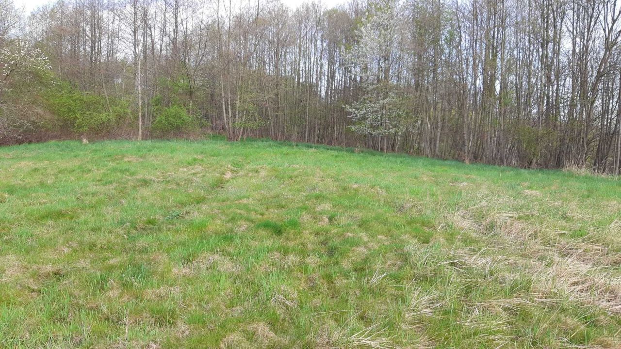 Działka budowlana Miłoszów. Zdjęcie 8