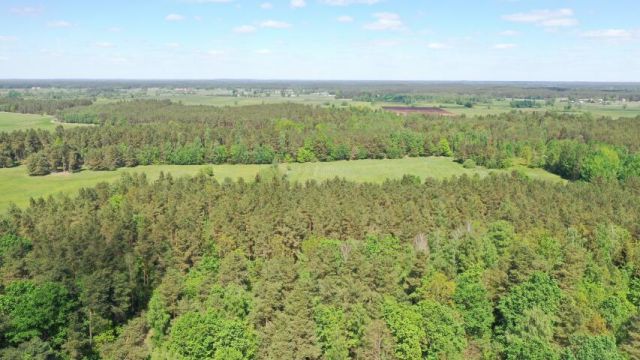 dom wolnostojący, 3 pokoje Żelazna Rządowa. Zdjęcie 6