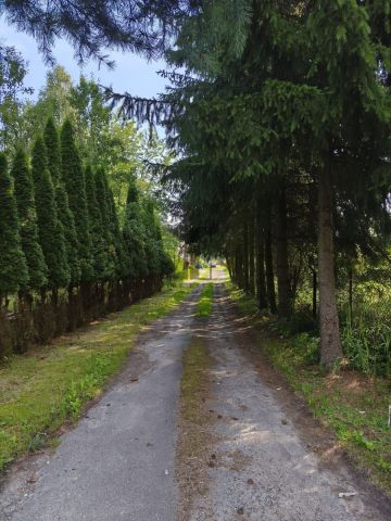 Mieszkanie 3-pokojowe Kołbiel. Zdjęcie 15