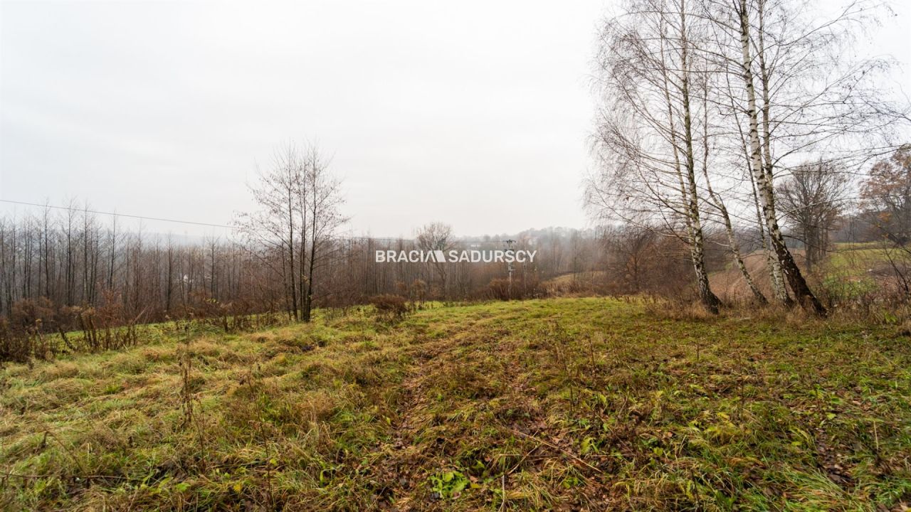 Działka rolno-budowlana Podstolice. Zdjęcie 6
