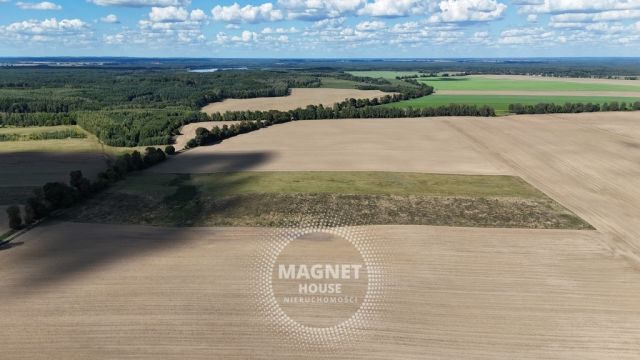 Działka rolna Rutwica. Zdjęcie 10