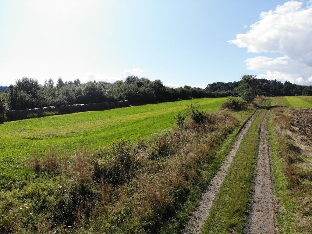 Działka budowlana Stary Wielisław. Zdjęcie 5
