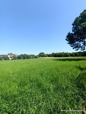 Działka rolna Dobieszyn. Zdjęcie 7