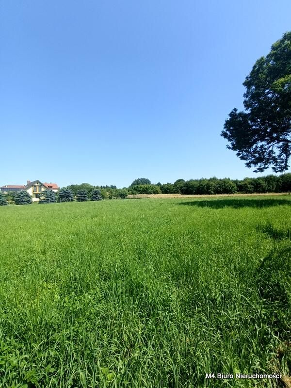 Działka rolna Dobieszyn. Zdjęcie 7