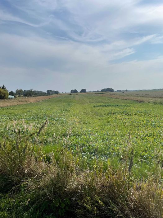 Działka rolno-budowlana Szpica. Zdjęcie 1
