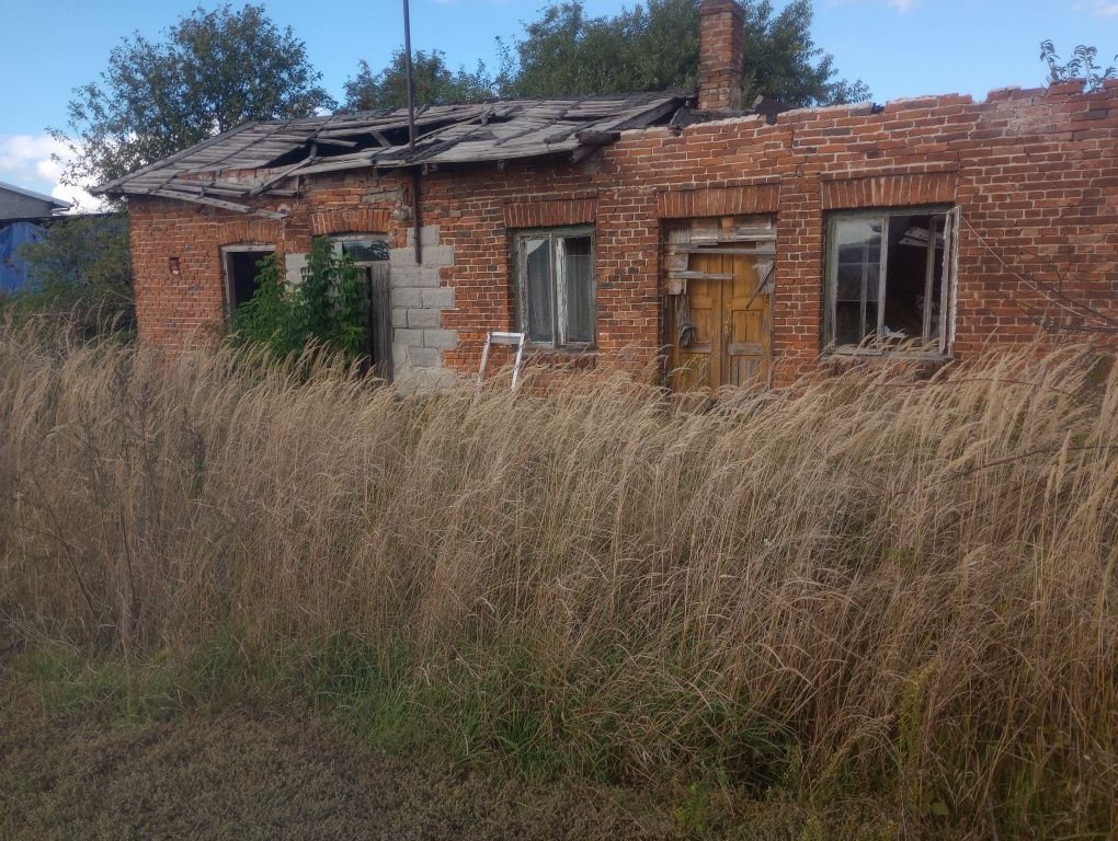 Działka rolno-budowlana Stara Brzeźnica, ul. Ogrodowa. Zdjęcie 1