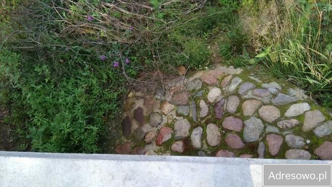 Działka rolno-budowlana Górny Gród. Zdjęcie 5