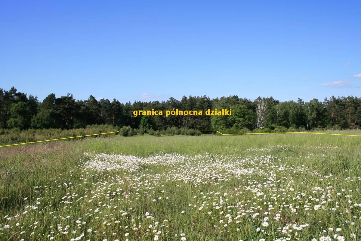 Działka rolna Świniary. Zdjęcie 2