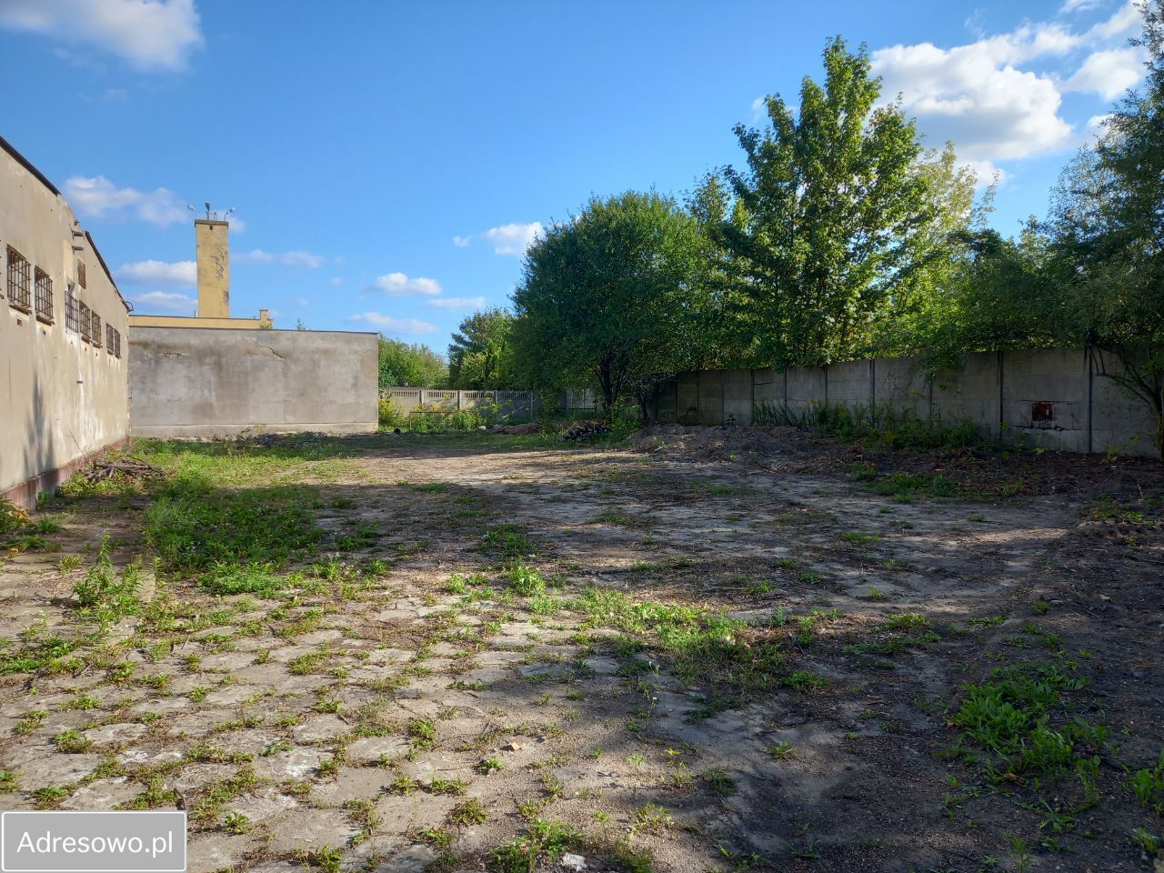 Lokal Ciechanów Centrum, ul. Henryka Sienkiewicza. Zdjęcie 10