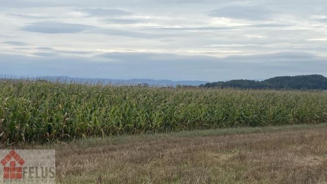 Działka rolna Czułówek. Zdjęcie 9