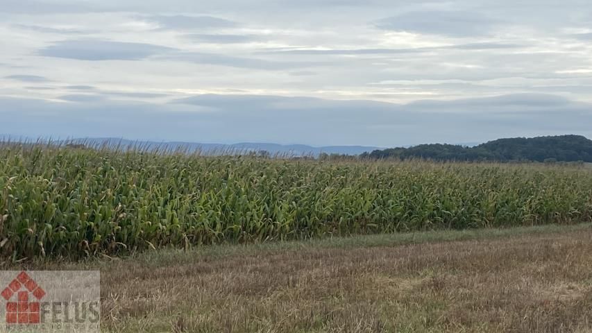 Działka rolna Czułówek. Zdjęcie 9