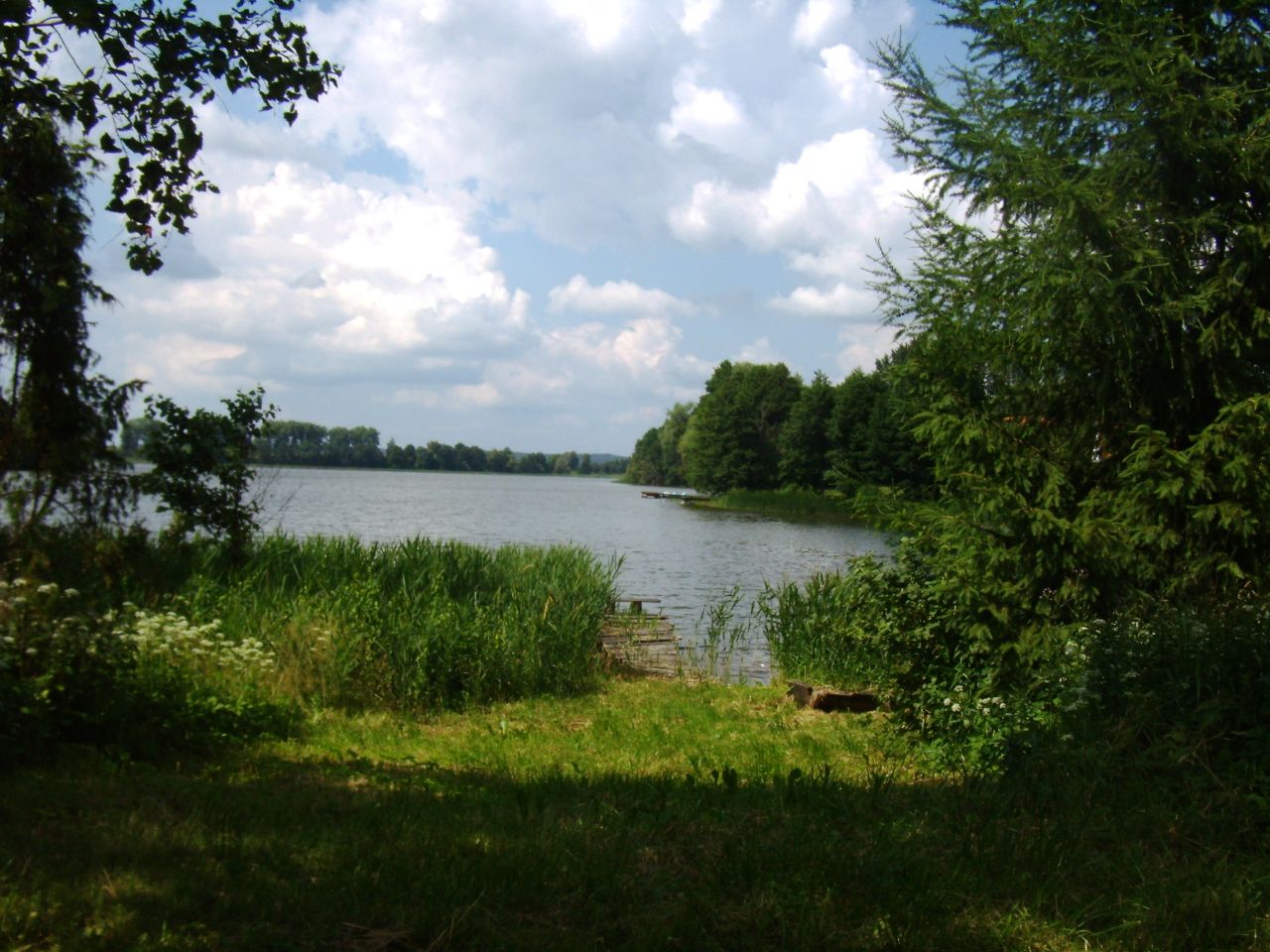 Działka budowlana Cierzpięty. Zdjęcie 2