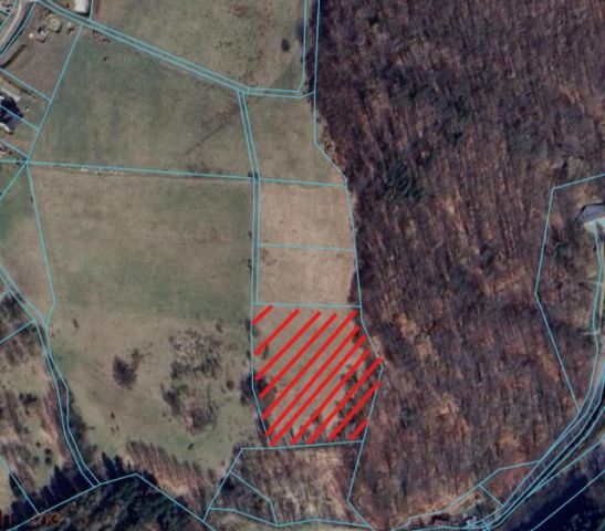 Działka rolna Walim, ul. Adama Mickiewicza. Zdjęcie 6