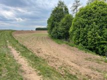 Działka rolna Puszcza Miejska. Zdjęcie 4