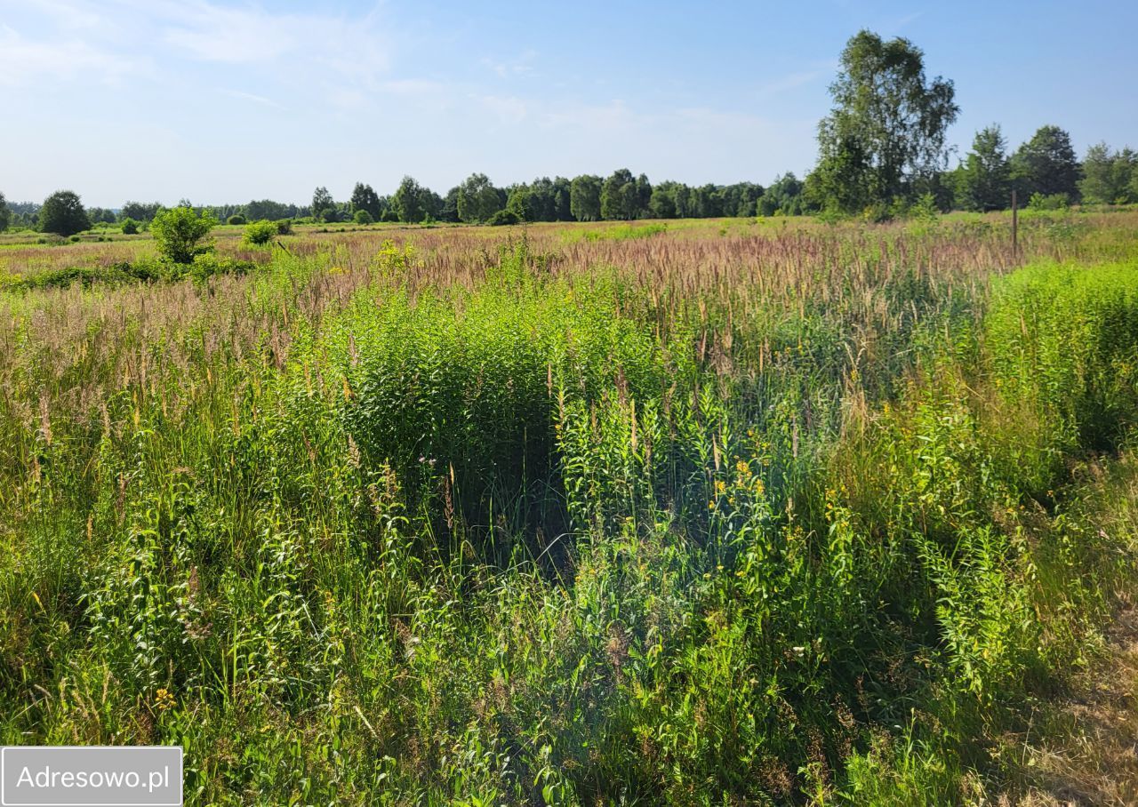 Działka budowlana Własna. Zdjęcie 12