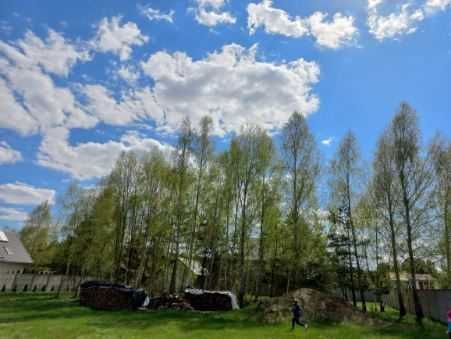 Działka rolno-budowlana Czosnówka, ul. Bialska. Zdjęcie 4