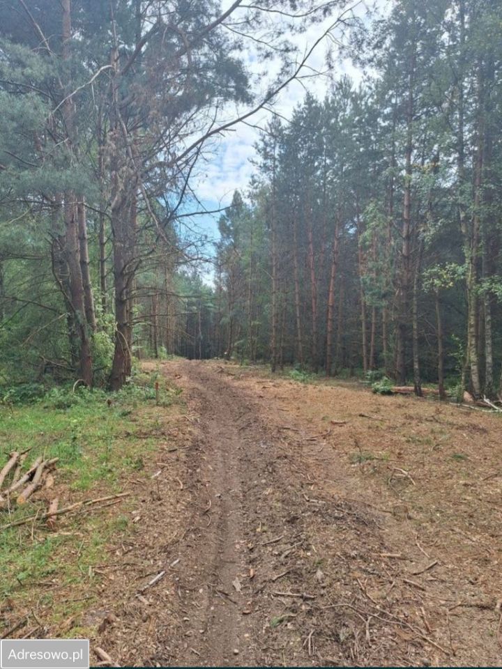 Działka budowlana Łagówek. Zdjęcie 2