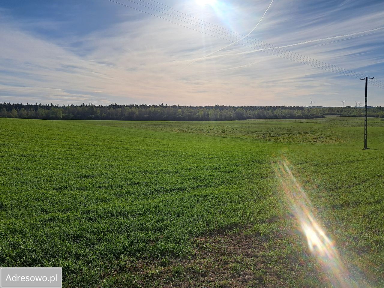 Działka rolna Kolonia Przerośl. Zdjęcie 5