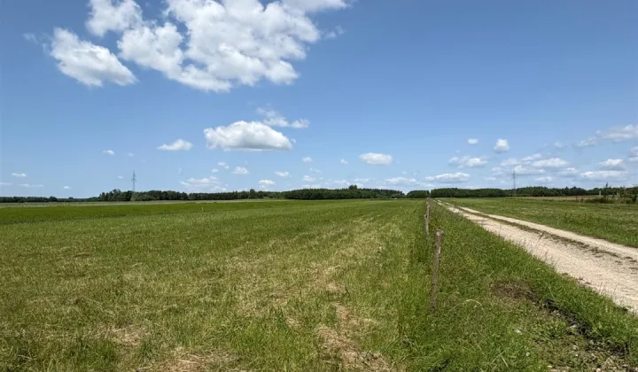 Działka budowlana Lubaczów