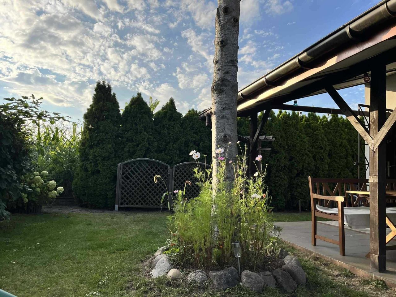 Działka rod Szałe. Zdjęcie 7