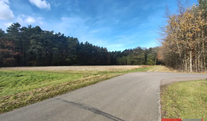 Działka budowlana Dziadowice