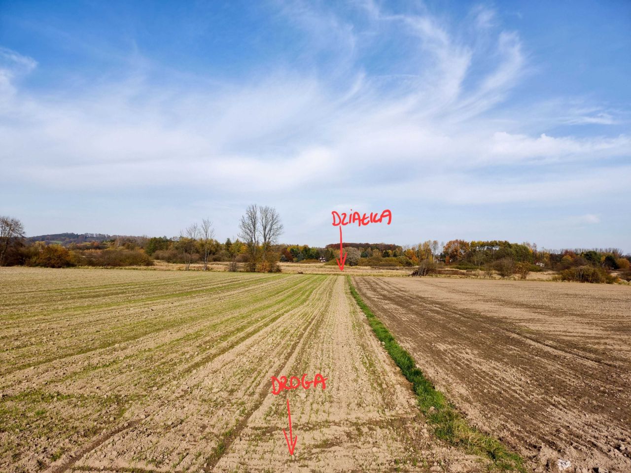 Działka inwestycyjna Morawica. Zdjęcie 5