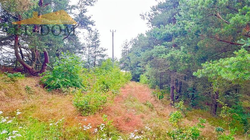 Działka budowlana Trzebuń. Zdjęcie 9