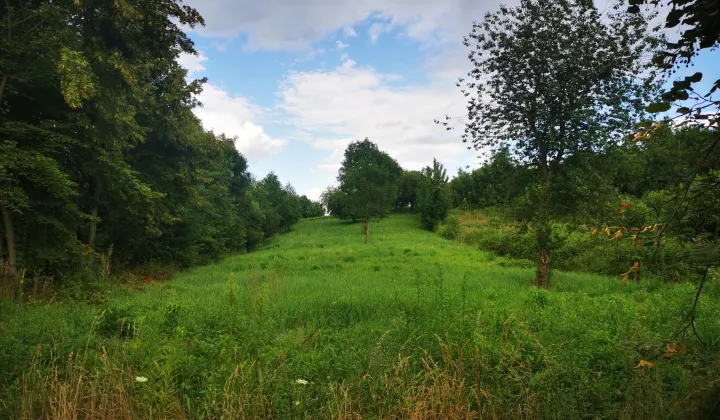 Działka budowlana Piława Górna Kośmin, ul. Kośmińska