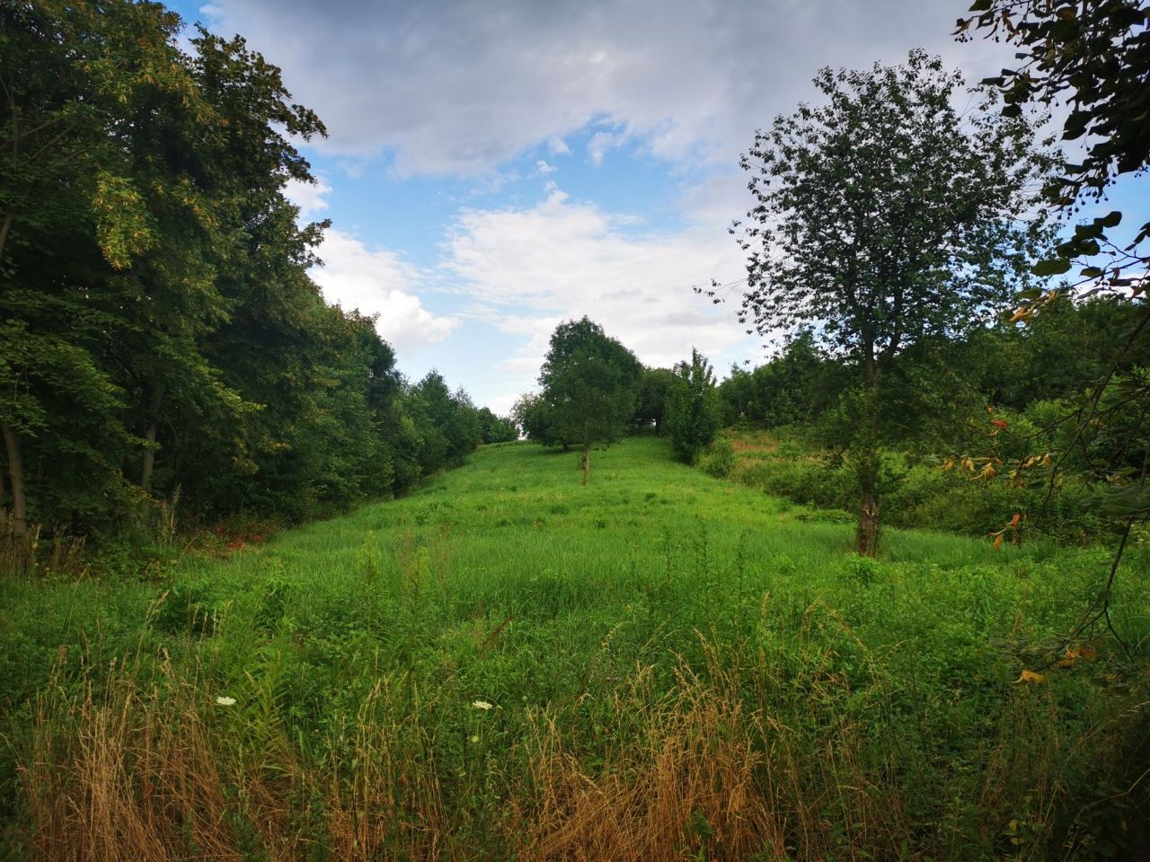 Działka budowlana Piława Górna Kośmin, ul. Kośmińska. Zdjęcie 1