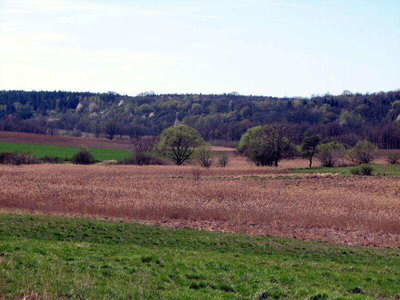 Działka rolna Żydowo. Zdjęcie 6