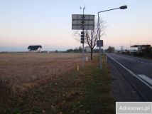 Działka rolno-budowlana Pątnów. Zdjęcie 1