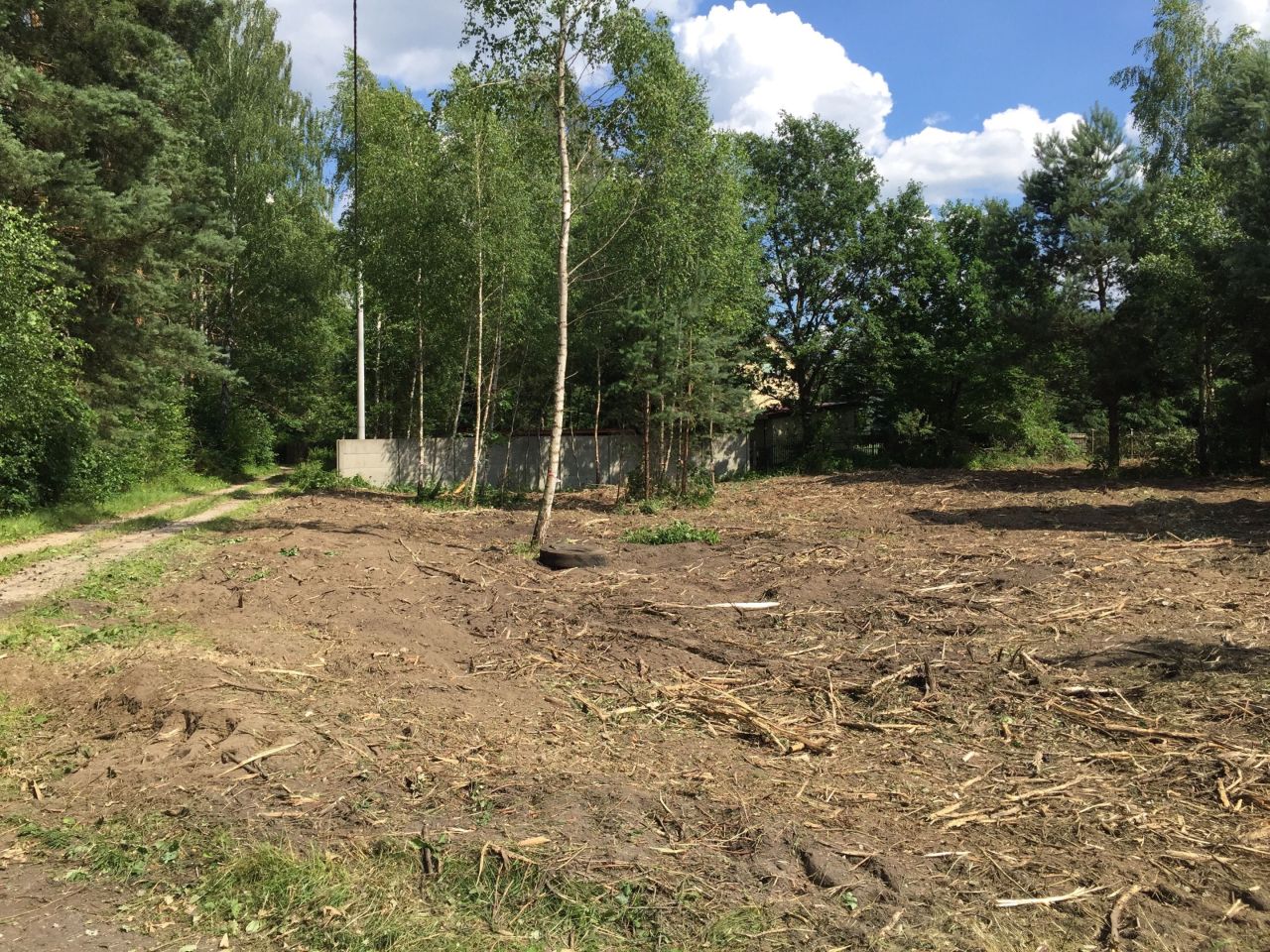 Działka budowlana Borków, ul. Jodłowa. Zdjęcie 5