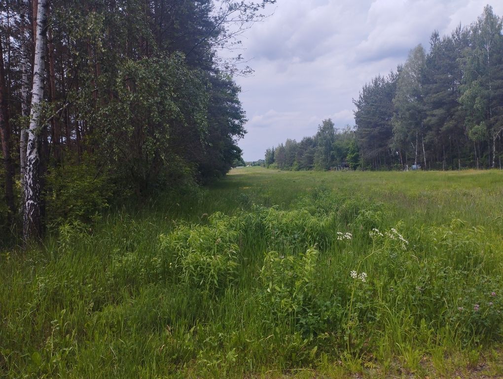 Działka budowlana Zaręby. Zdjęcie 4