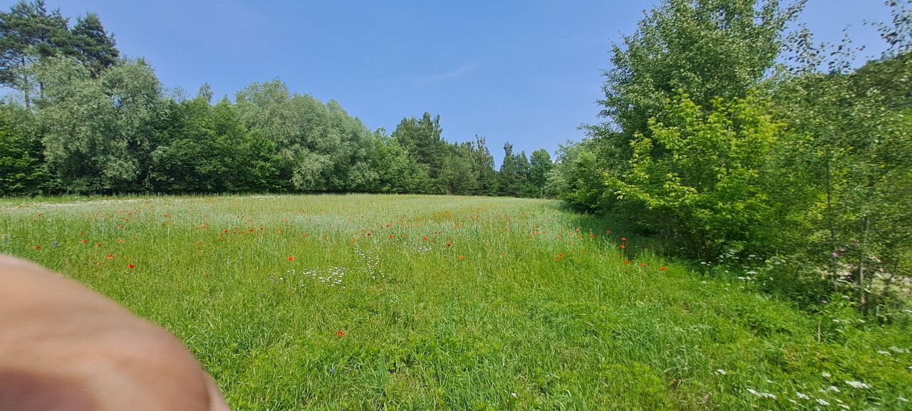 Działka rolno-budowlana Krasnystaw Zastawie, ul. Stokowa. Zdjęcie 2