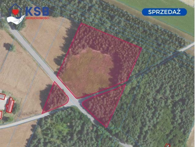 Działka budowlana Wólka Bałtowska. Zdjęcie 1