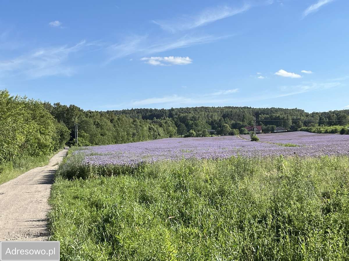 Działka budowlana Kalonka. Zdjęcie 6