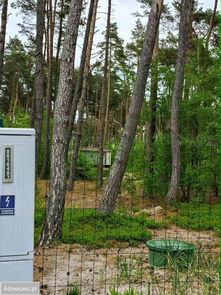 Działka budowlana Dziwnów, ul. Daglezji. Zdjęcie 4