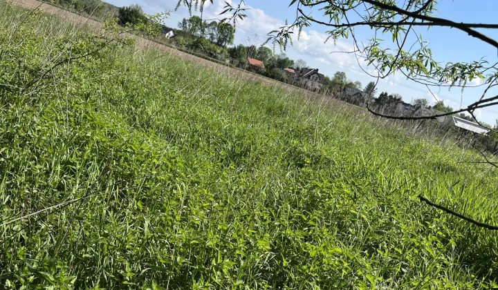 Działka rolno-budowlana Wołowice Wyspa, Wiślańska